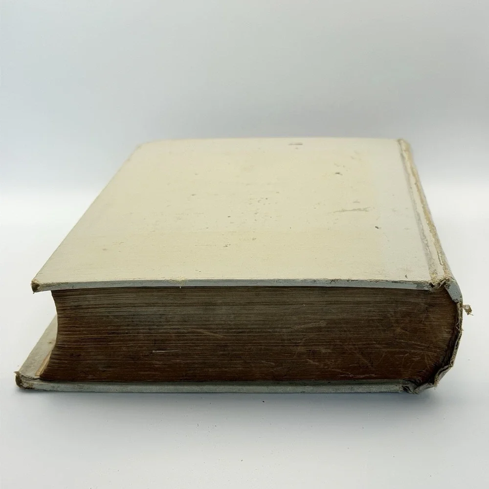 Antique‎ 1900 Cookbook Twentieth Century Cook Book And Practical Housekeeping HC